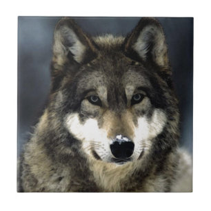Wolf Ceramic Tile