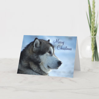 Wolf Christmas Card  - Merry Christmas