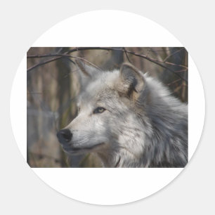 Wolf Classic Round Sticker