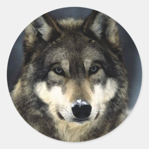 Wolf Classic Round Sticker