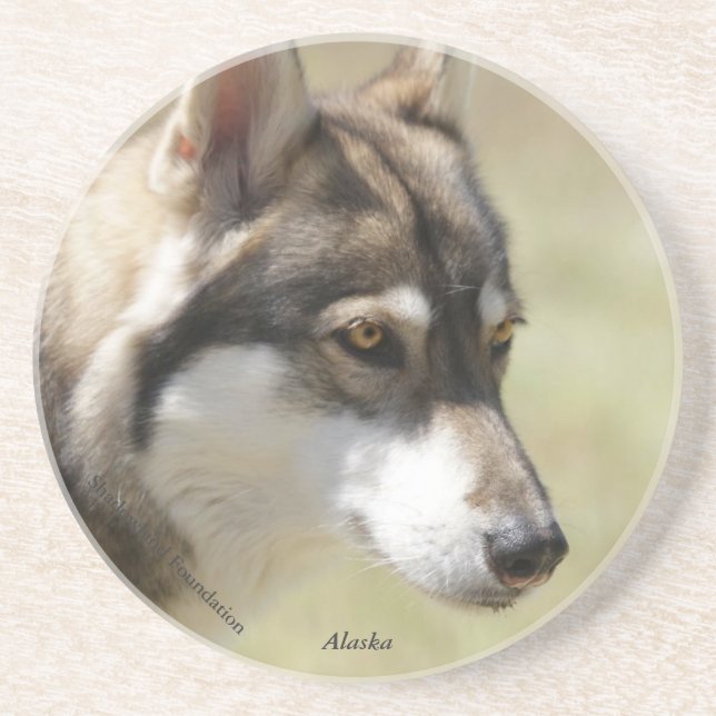 Wolf Coaster (Front)