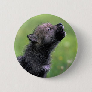 Wolf Cub Howling 6 Cm Round Badge