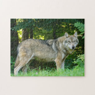 Wolf Dog in a Forest Jigsaw Puzzle