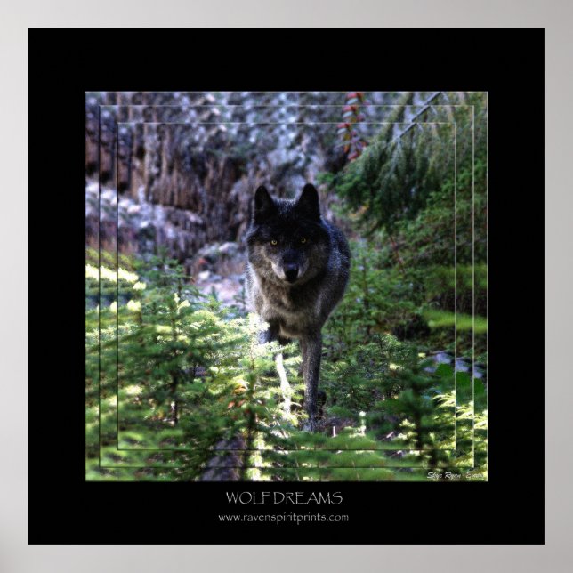 WOLF DREAMS Art Poster (Front)