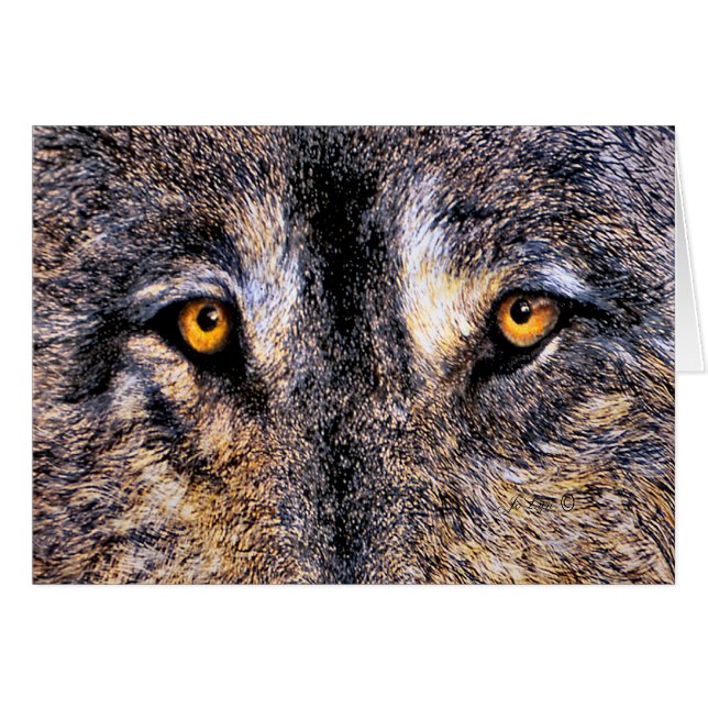 Wolf Eyes (Front Horizontal)