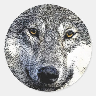 Wolf Eyes Artwork Classic Round Sticker