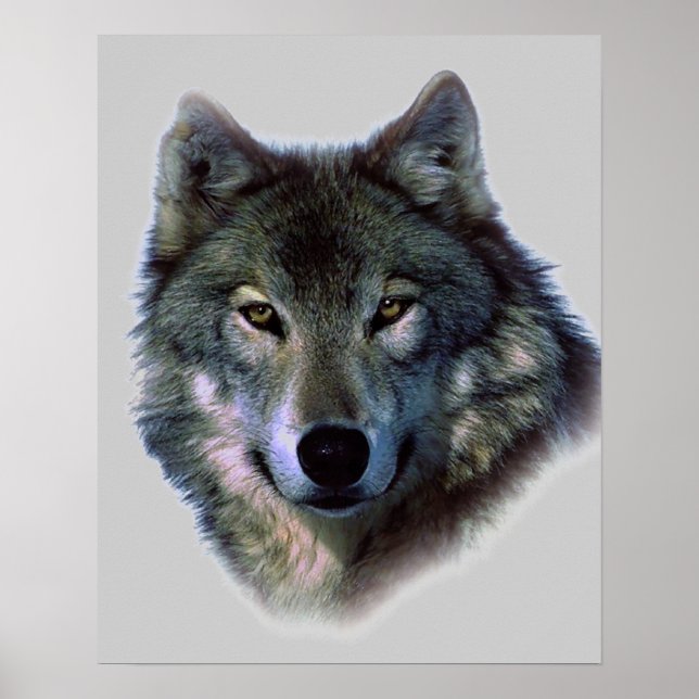 Wolf Eyes Artwork Poster Print (Front)