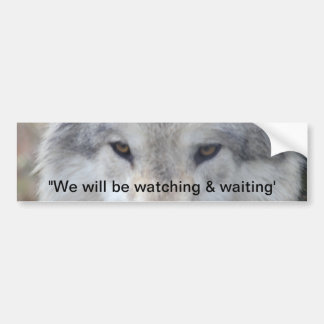 Wolf Eyes Bumper Sticker