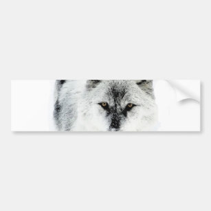 Wolf Eyes Bumper Sticker