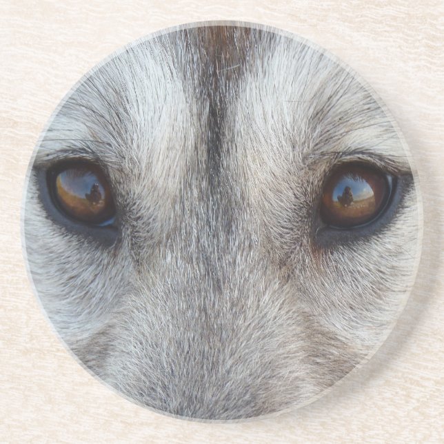 Wolf Eyes Coaster Wolf Dog Art Coaster & GIfts (Front)