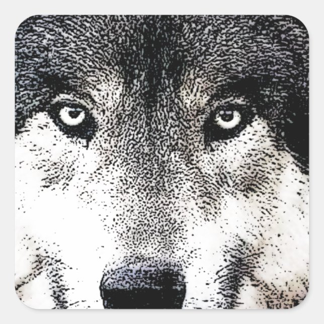 Wolf Eyes Square Sticker (Front)
