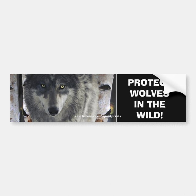 WOLF EYES Wildlife Conservation Bumper sticker (Front)