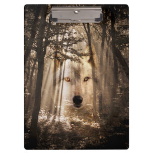 Wolf face in the woods clipboard