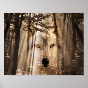 Wolf face in the woods poster
