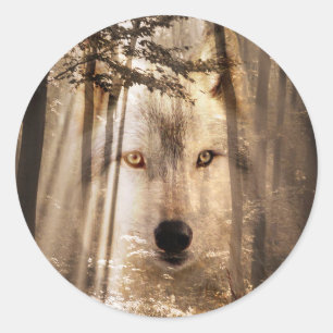 Wolf face in woods classic round sticker