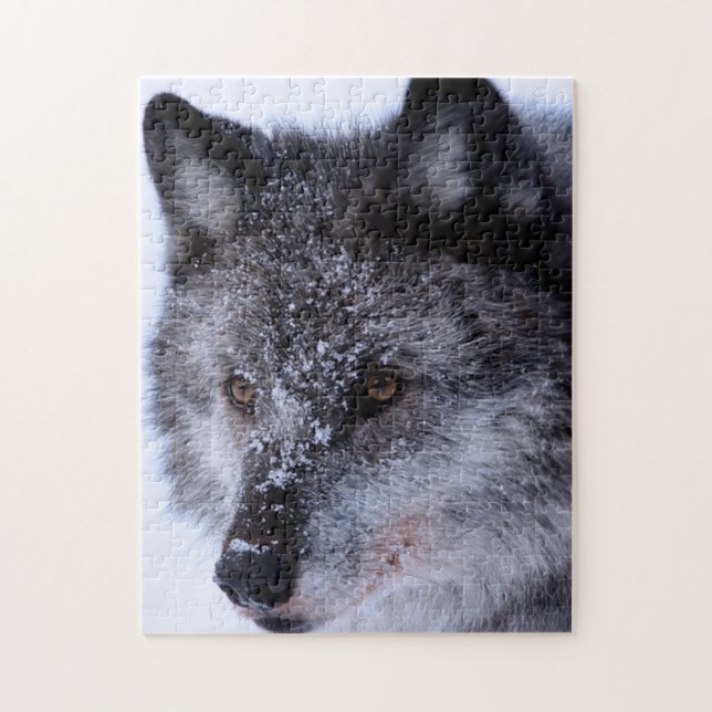 Wolf Face, Jigsaw Puzzle (Vertical)