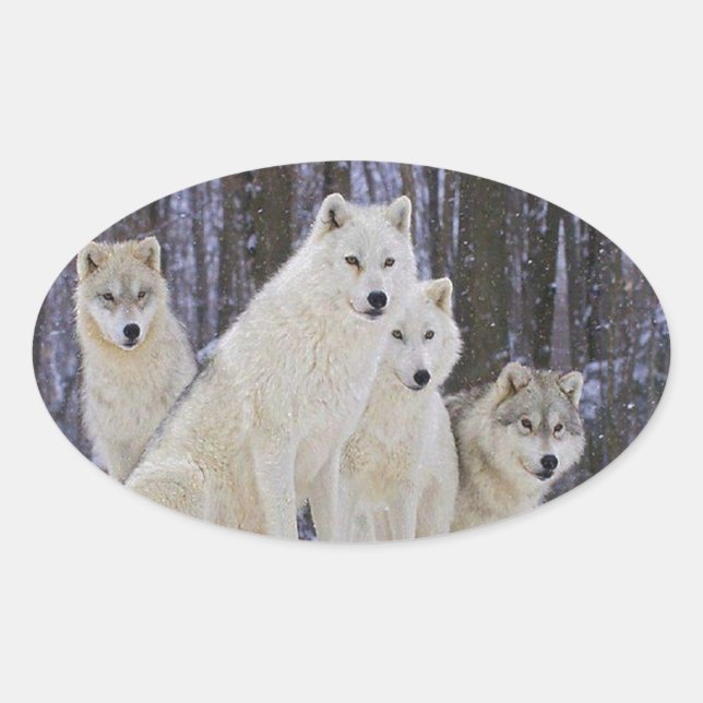 Wolf Family Oval Sticker (Front)