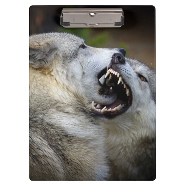 Wolf Fight Clipboard (Front)