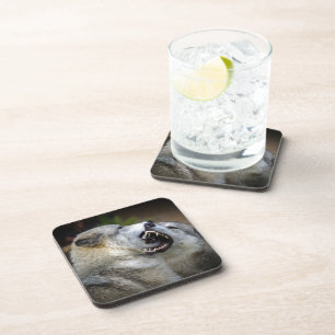 Wolf Fight Coaster