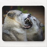 Wolf Fight