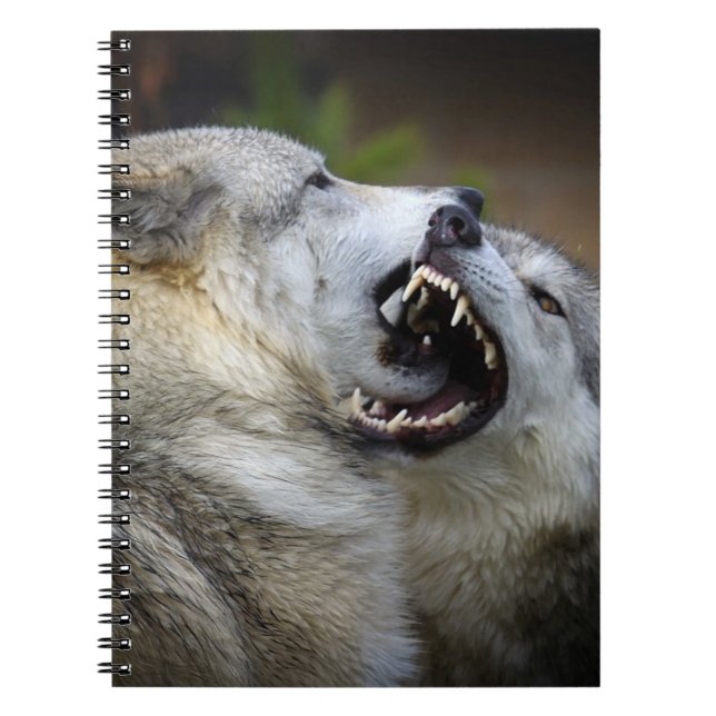 Wolf Fight Notebook (Front)