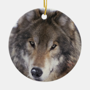 Wolf Gaze Ornament