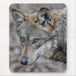 Wolf Glimpse Close Up Mouse Pad