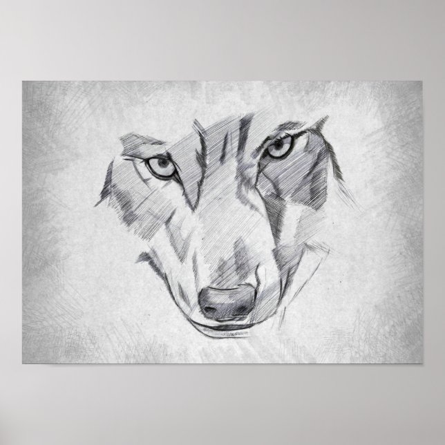 Wolf - Graphic Drawing Poster (Front)