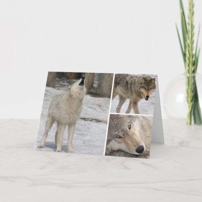 Wolf - Greeting Card - Blank Personalise It (Front)