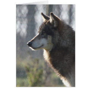 Wolf head