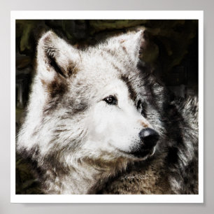 Wolf Head Study Poster