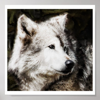 Wolf Head Study Poster