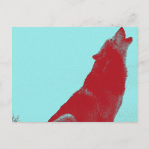 Wolf Howl Postcard