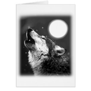 Wolf Howling at Moon