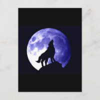 Wolf Howling at Moon