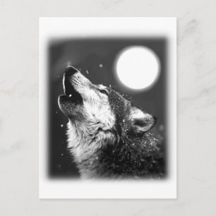 Wolf Howling at Moon Postcard