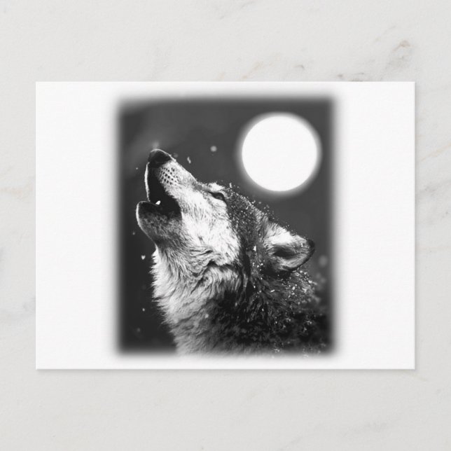 Wolf Howling at Moon Postcard (Front)