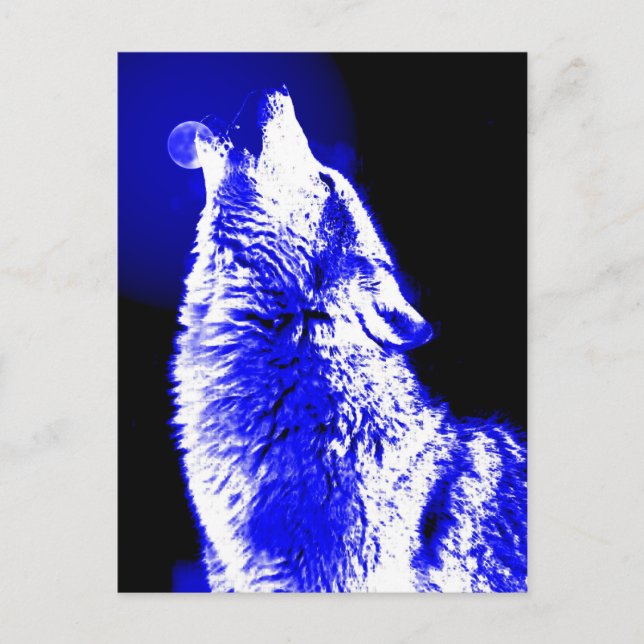 Wolf Howling at Moon Postcard (Front)