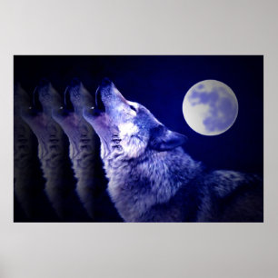 Wolf Howling at Moon Poster Print - Wolf Posters