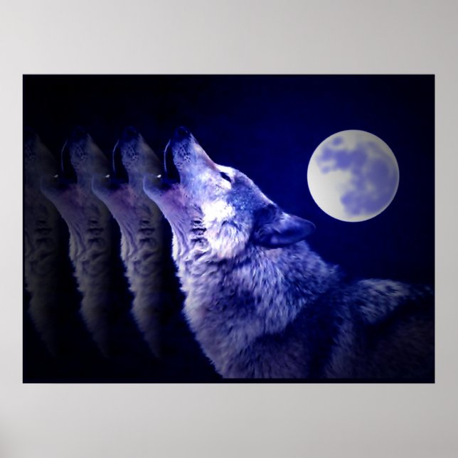 Wolf Howling at Moon Poster Print - Wolf Posters (Front)