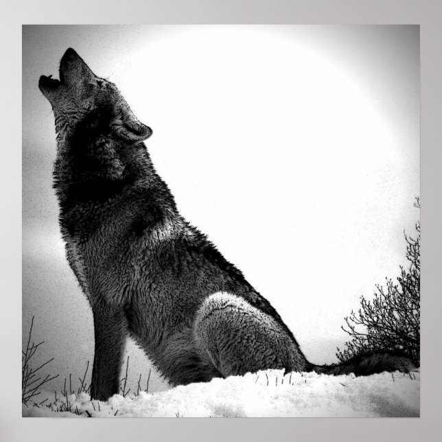Wolf Howling at Moon Poster Print - Wolf Posters (Front)