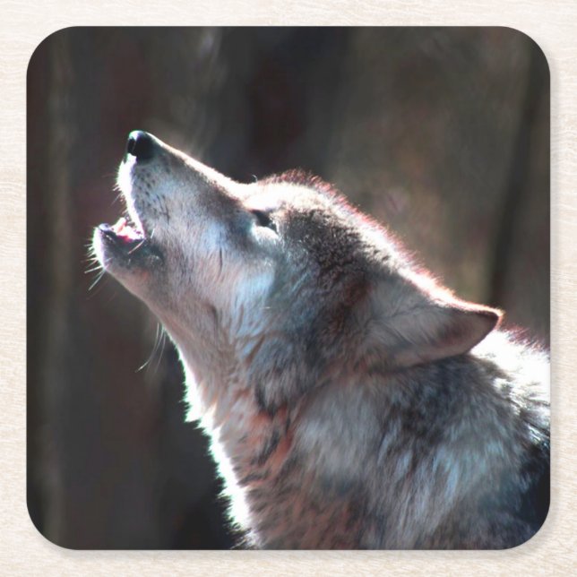 Wolf Howling Lone Wolf Square Paper Coaster (Front)