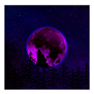 WOLF HOWLING MOON MAGENTA  POSTER