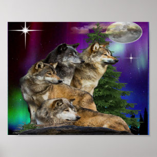 Wolf Howling Poster