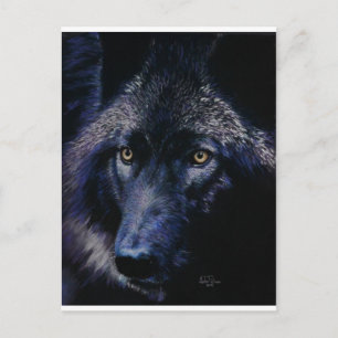 Wolf in moonlight (a) postcard