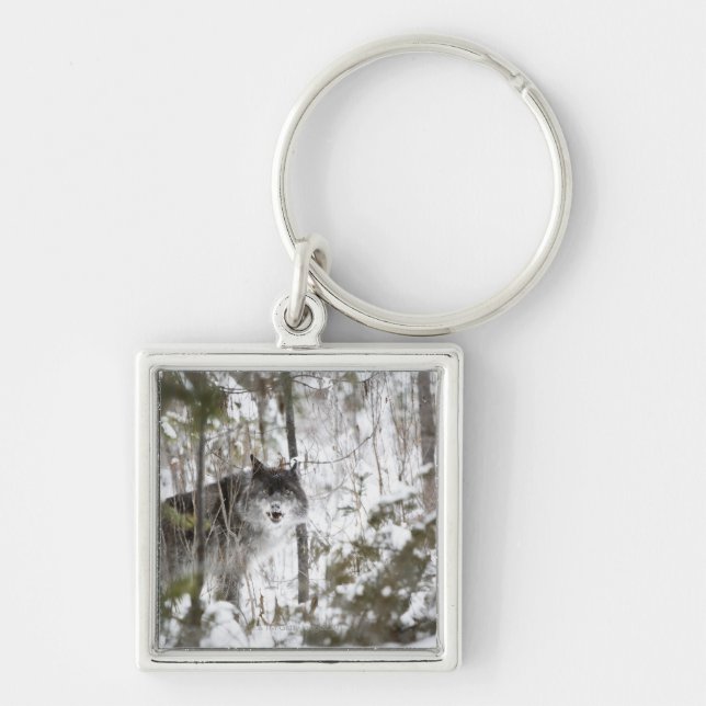 Wolf In The Forest In Winter Key Ring (Front)