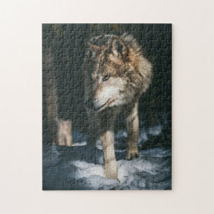 Wolf in The Wild Animal Jigsaw Puzzle