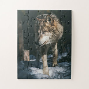 Wolf in The Wild Animal Jigsaw Puzzle