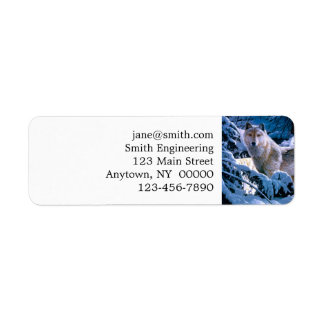 Wolf in the winter forest painting return address label