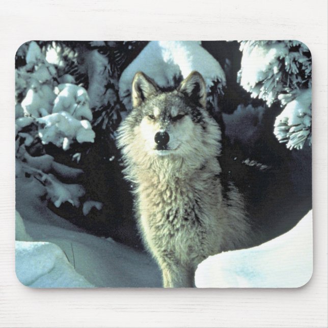 Wolf In Winter Forest Gaze Mouse Pad (Front)
